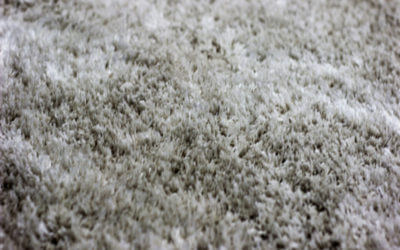 Common Carpet Stains and How to Remove Them