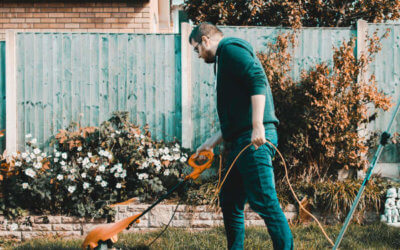 Summer Hardware: Top Summer Lawn Care Tools